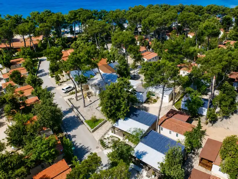Hlad borova iznad mobilnih kućica u kampu Camping Park Soline